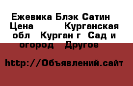 Ежевика Блэк Сатин › Цена ­ 100 - Курганская обл., Курган г. Сад и огород » Другое   